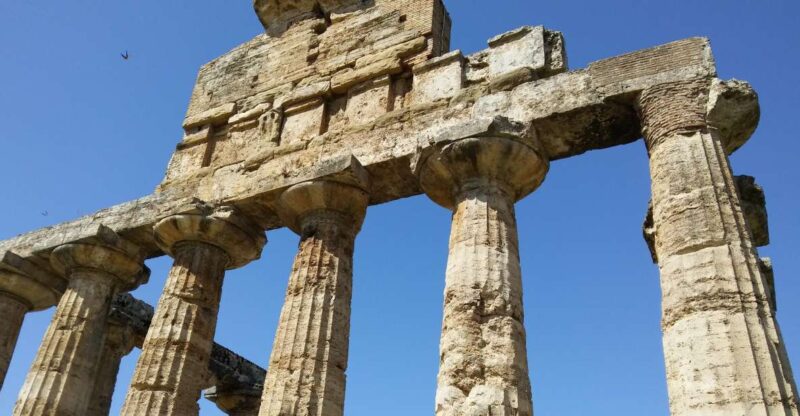 Naples: Go to Paestum by Car and Visit the Temples - Highlights