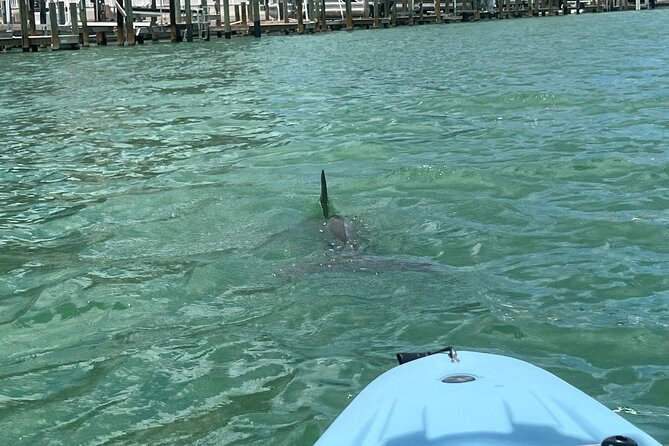 Naples Guided Sunset Kayak Tour Activity - Accessibility and Restrictions