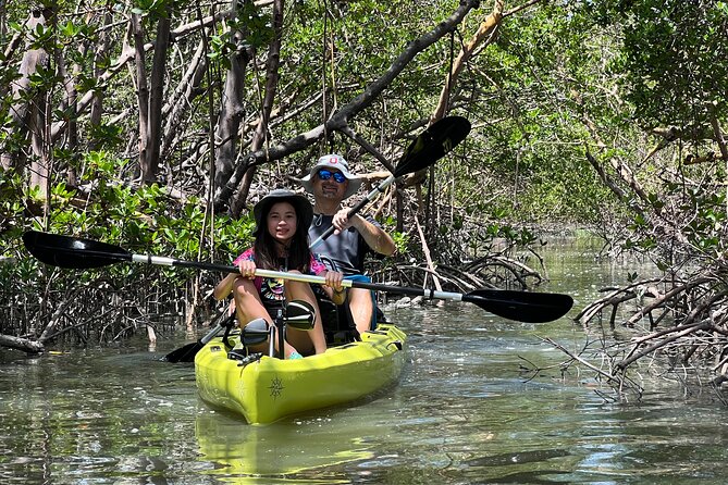 Naples Guided Sunset Kayak Tour Activity - Kayak Equipment and Guides
