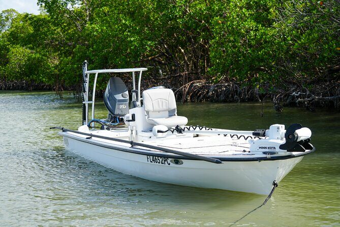 Naples Half-Day Fly Fishing Activity - The Itinerary: What to Expect