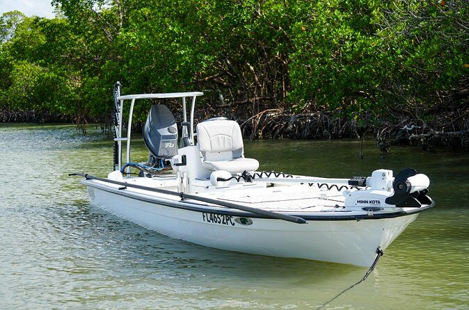 Naples Half-Day Fly Fishing Activity - Practical Tips