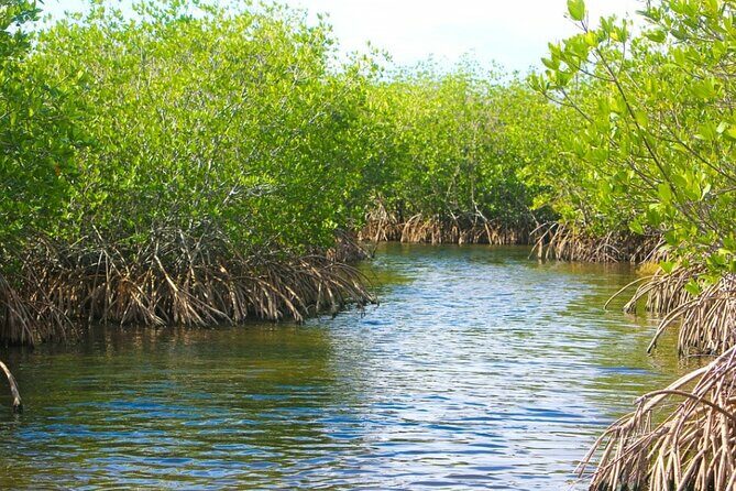 Naples Half-Day Fly Fishing Activity - Final Thoughts