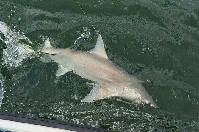 Naples Inshore Fishing Charters - Tour Features