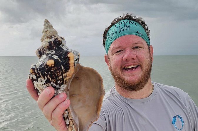 Naples Keewaydin Shelling Dolphin and Beach Tours - The Sum Up