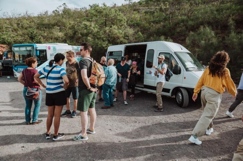 Naples: Pompeii and Mount Vesuvius Entry Tickets and Tour - Key Points