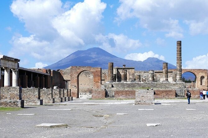Naples, Pompeii and Vesuvius Full Day Tour From Naples - Reviews and Feedback