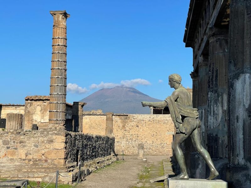 Naples: Pompeii Archaeology Park Tour & Skip-the-Line Entry - Customer Feedback