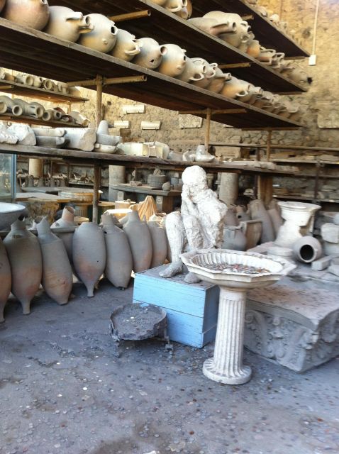 Naples: Pompeii & Herculaneum Tour W/ Lunch & Wine Tasting - Guided Explorations
