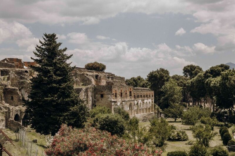 Naples: Pompeii & Herculaneum Tour With Lunch & Wine Tasting - Inclusions