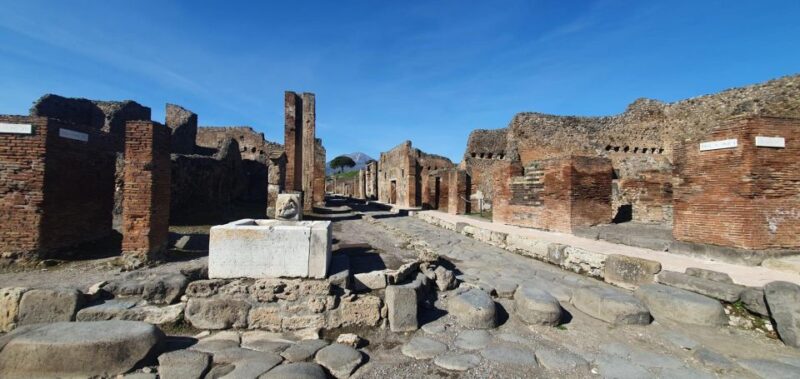 Naples: Pompeii & Mt. Vesuvius Day Trip With Tickets & Lunch - Suitability and Requirements