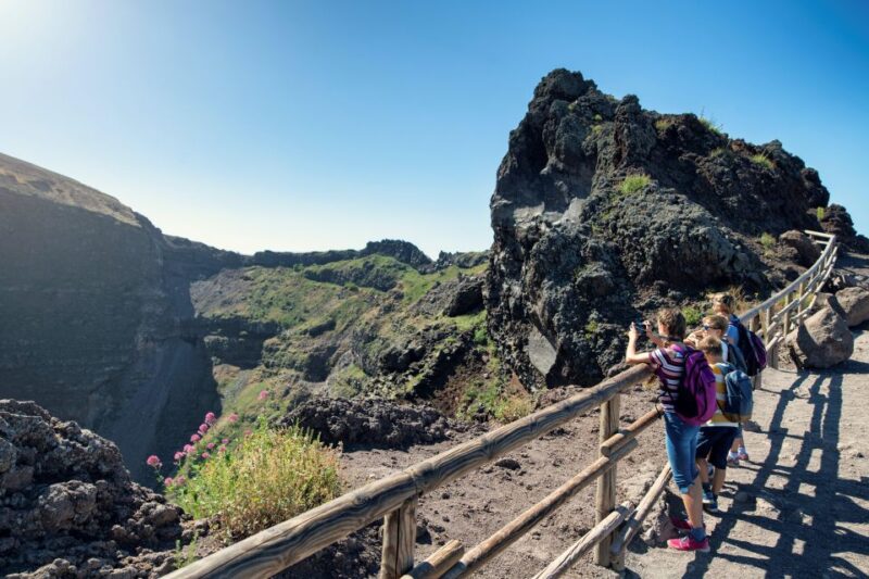 Naples: Pompeii & Mt. Vesuvius Day Trip With Tickets & Lunch - Customer Feedback and Ratings