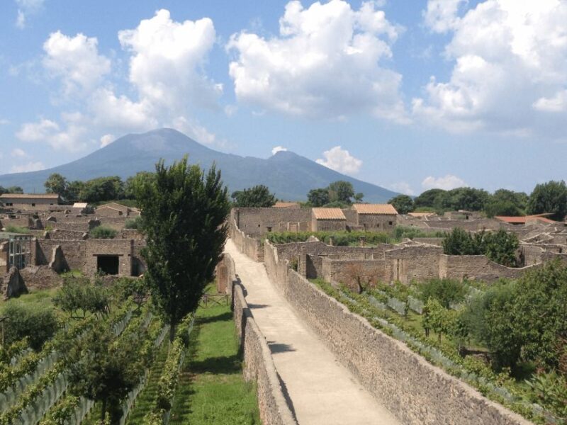 Naples: Pompeii Ruins VIP Guided Tour - Key Points