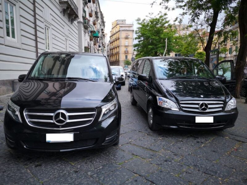 Naples: Private Airport Transfer to the City Centre - Key Points