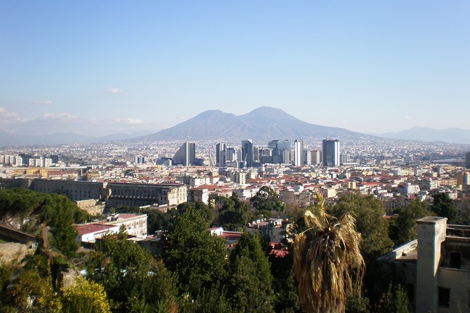 Naples Shore Excursion: Mt Vesuvius Half-Day Trip From Naples - Highlights of the Tour