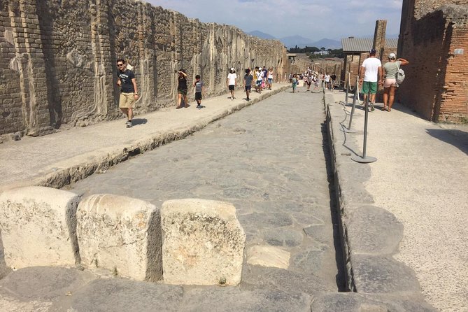 Naples Shore Excursion: Pompeii and Sorrento Day Trip - Overall Ratings and Experiences