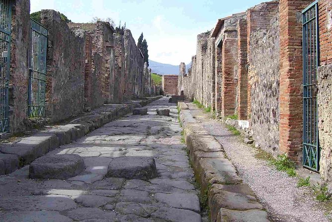 Naples Shore Excursion: Pompeii Half Day Trip From Naples - Pickup and Meeting