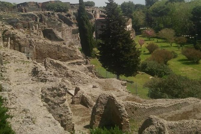 Naples Shore Excursion: Pompeii Half Day Trip From Naples - Important Notes
