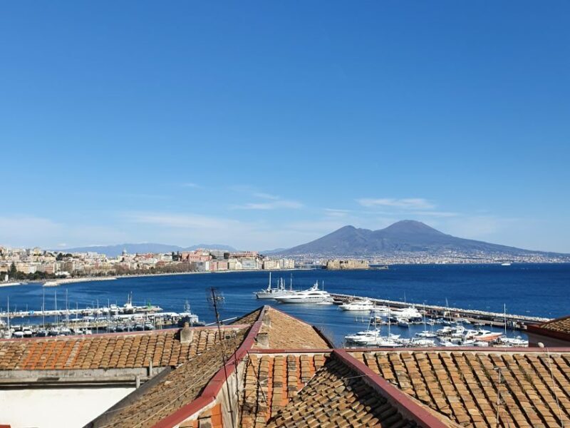 Naples Sightseeing Tour for Small Groups - Customer Experience and Reviews