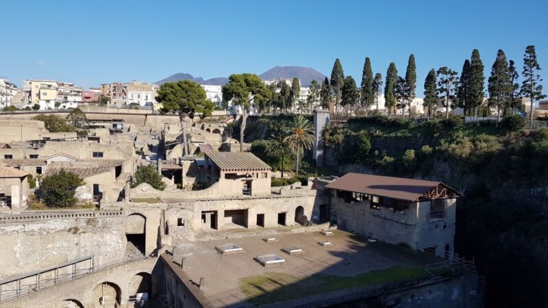 Naples: Skip-the-line Herculaneum and Vesuvius Day Trip - Mount Vesuvius Exploration