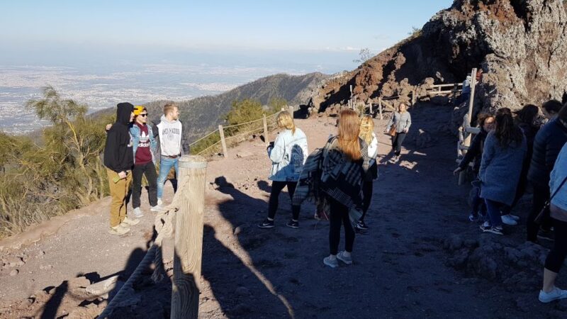 Naples: Skip-the-line Herculaneum and Vesuvius Day Trip - Additional Information