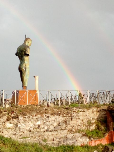 Naples: the Ultimate Ruins of Pompeii & Herculaneum Day Trip - Inclusions and Exclusions
