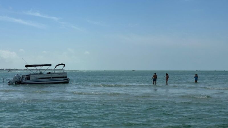 Naples to Keewaydin Water Shuttle With Everything Included! - Transportation to Paradise