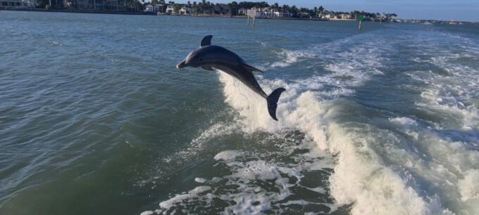Naples to Keewaydin Water Shuttle With Everything Included! - Meeting Point and Parking