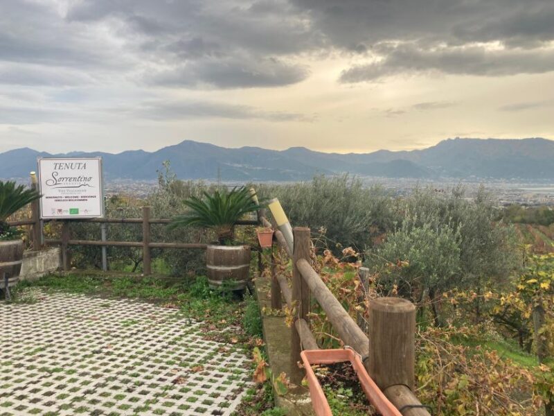 Naples To: Pompeii, Vesuvius, Herculaneum - Key Points