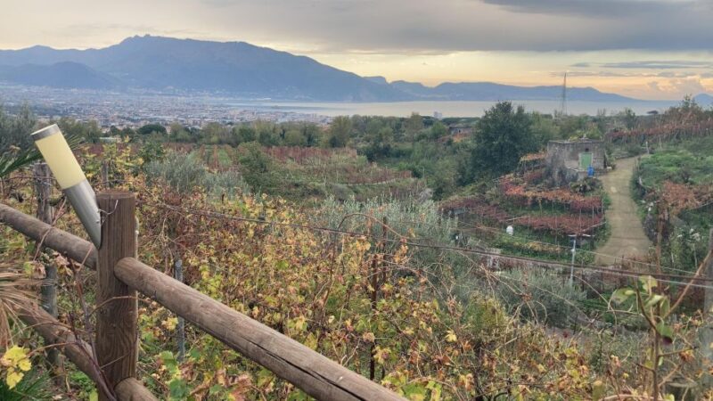 Naples To: Pompeii, Vesuvius, Herculaneum - Booking and Payment