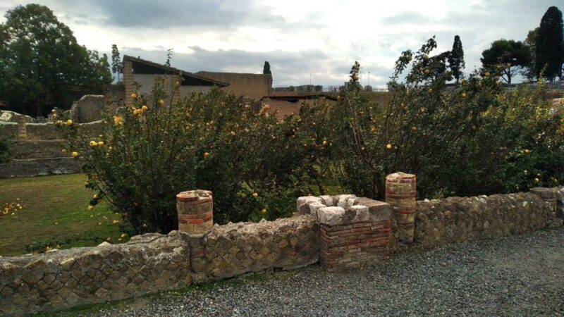 Naples to the Amalfi Coast & Herculaneum Guided Tour - Customizable Experience