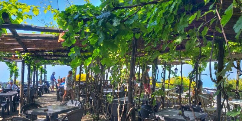 Naples: Vesuvius Half-Day Trip With Lunch and Wine Tasting - Guided Tour and Commentary