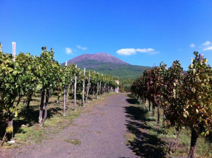 Naples: Vesuvius Half-Day Trip With Lunch and Wine Tasting - Frequently Asked Questions