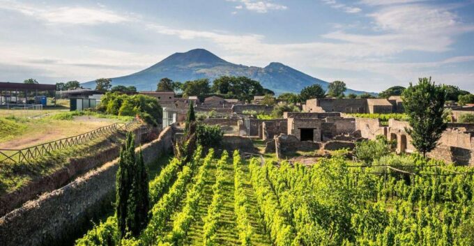Naples: Vesuvius, Pompeii, and Vineyards Tour - Winery Tour and Tasting