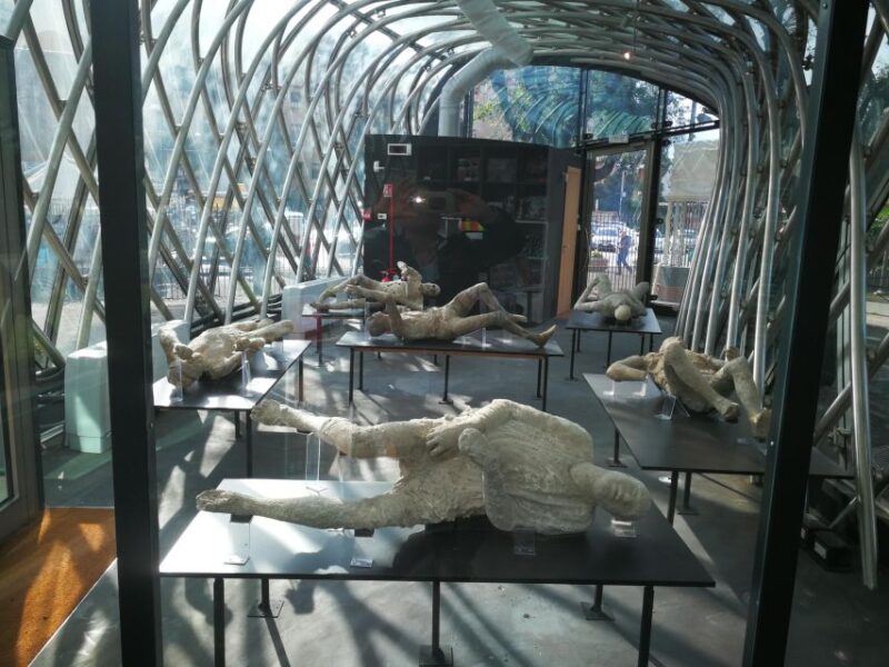 Naples: Visit Pompeii With a Private Professional Guide 2hrs - Visiting Villa Dei Misteri