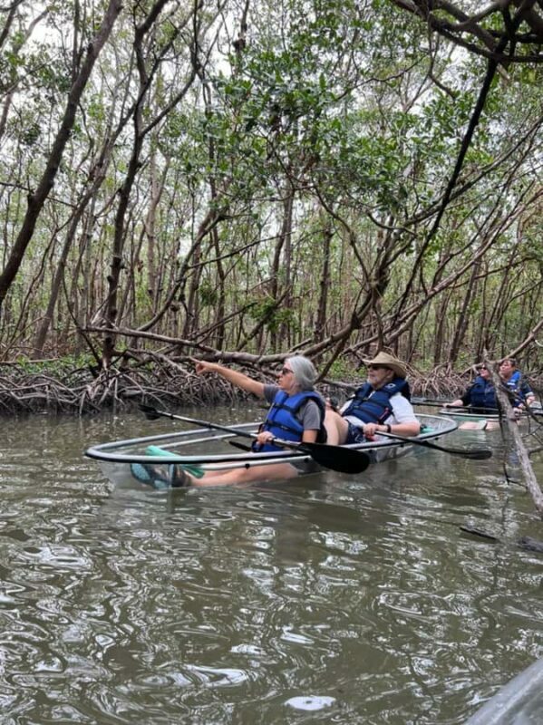 Naples: Wiggins Pass Clear Kayak Eco Tour - Value and Overall Impression