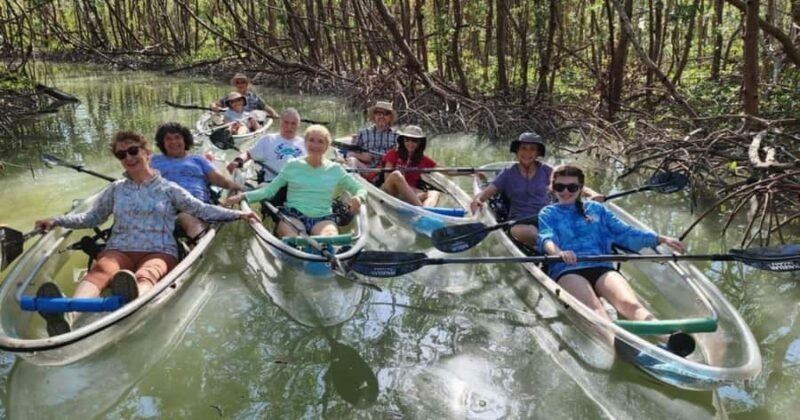 Naples: Wiggins Pass Clear Kayak Eco Tour - FAQs