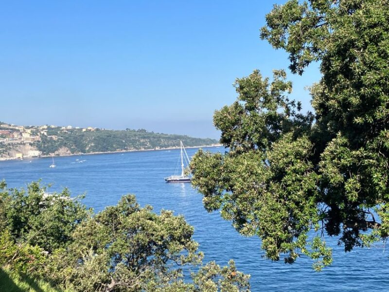 Napoli: Transfer From Napoli to Ravello via Pompeii - Experience Highlights