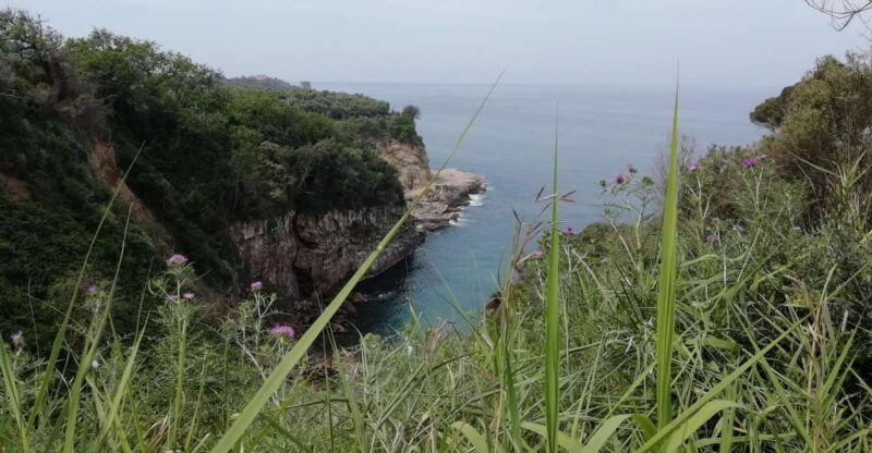 Napoli: Transfer From Napoli to Sorrento via Pompeii - Pompeii Stopover Experience