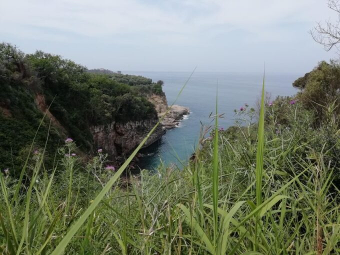 Napoli: Transfer From Napoli to Sorrento via Pompeii - Frequently Asked Questions