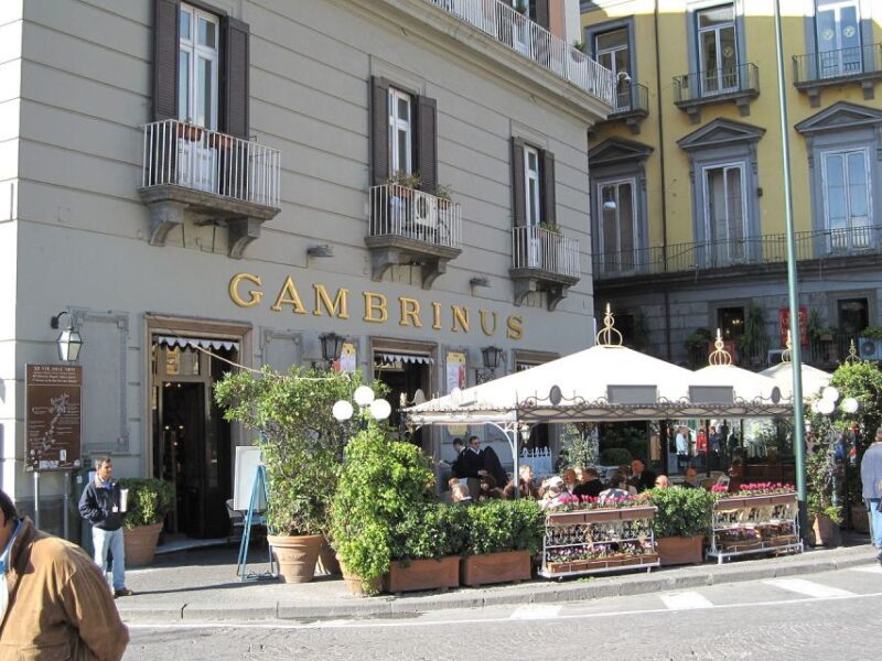 Napoli: Walking Tour of Naples With Local Tour Guide - Overview of the Walking Tour
