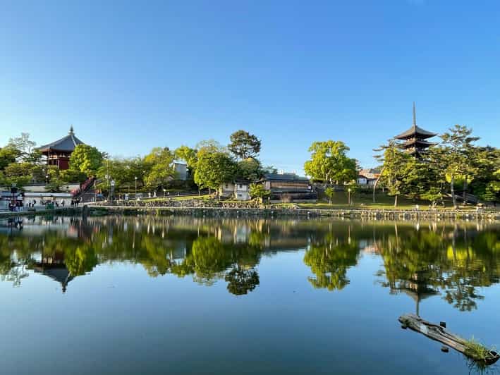 Nara: 1 Day Local Guide– Big Buddha, Deer, Shrine, Old Town - Key Points