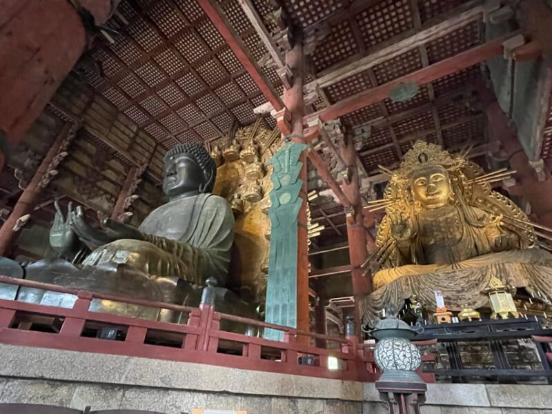 Nara: 1 Day Local Guide– Big Buddha, Deer, Shrine, Old Town - Todaiji Temple