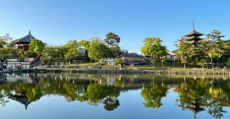 Nara: 1 Day Local Guide– Big Buddha, Deer, Shrine, Old Town - Tamukeyama Hachimangu Shrine