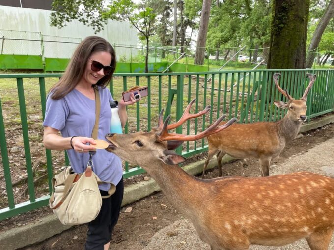 Nara: 1 Day Local Guide– Big Buddha, Deer, Shrine, Old Town - Naramachi Nigiwai-no-le