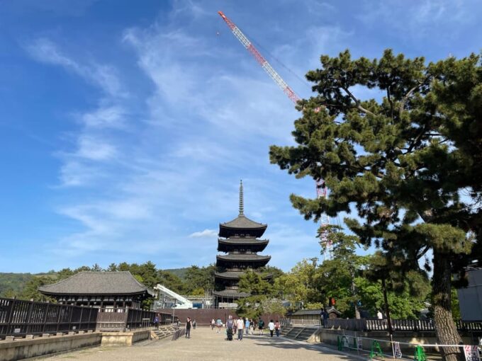 Nara: 1 Day Local Guide– Big Buddha, Deer, Shrine, Old Town - Tour Highlights and Inclusions