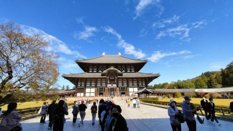Nara: 3-Hour Guided Tour with Deer, Great Buddha & Shrines - Key Points