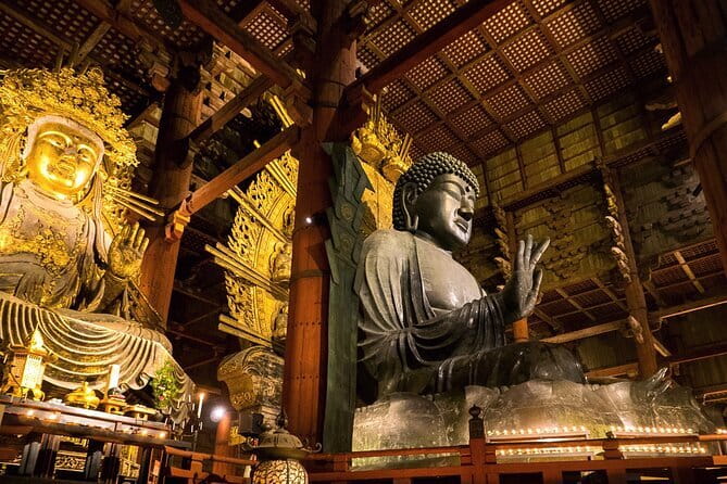 Nara 8hr Private Tour - Osaka DEP. With Licensed Guide - Key Points
