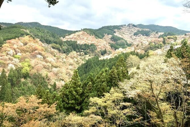 Nara 8hr Private Tour - Osaka DEP. With Licensed Guide - Exploring the UNESCO World Heritage Site: Ginkaku-ji Temple (Silver Pavilion)