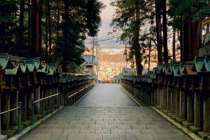 Nara Adventure: Todaiji, Kasuga Shrine, Nara Park, Hozanji Temple - Accessibility and Health Requirements