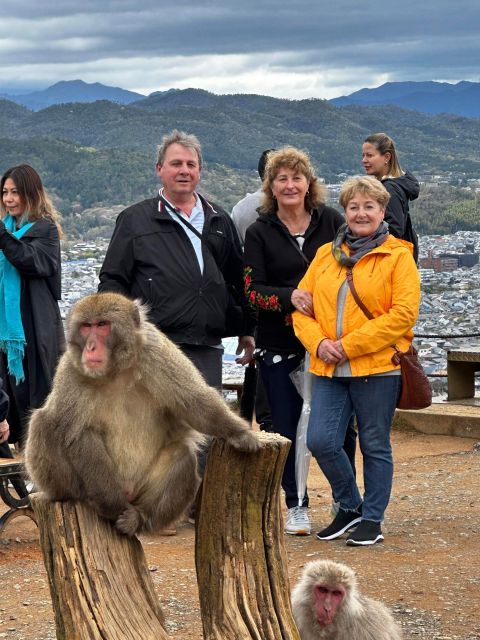 Nara and Kyoto Tour - Highlights
